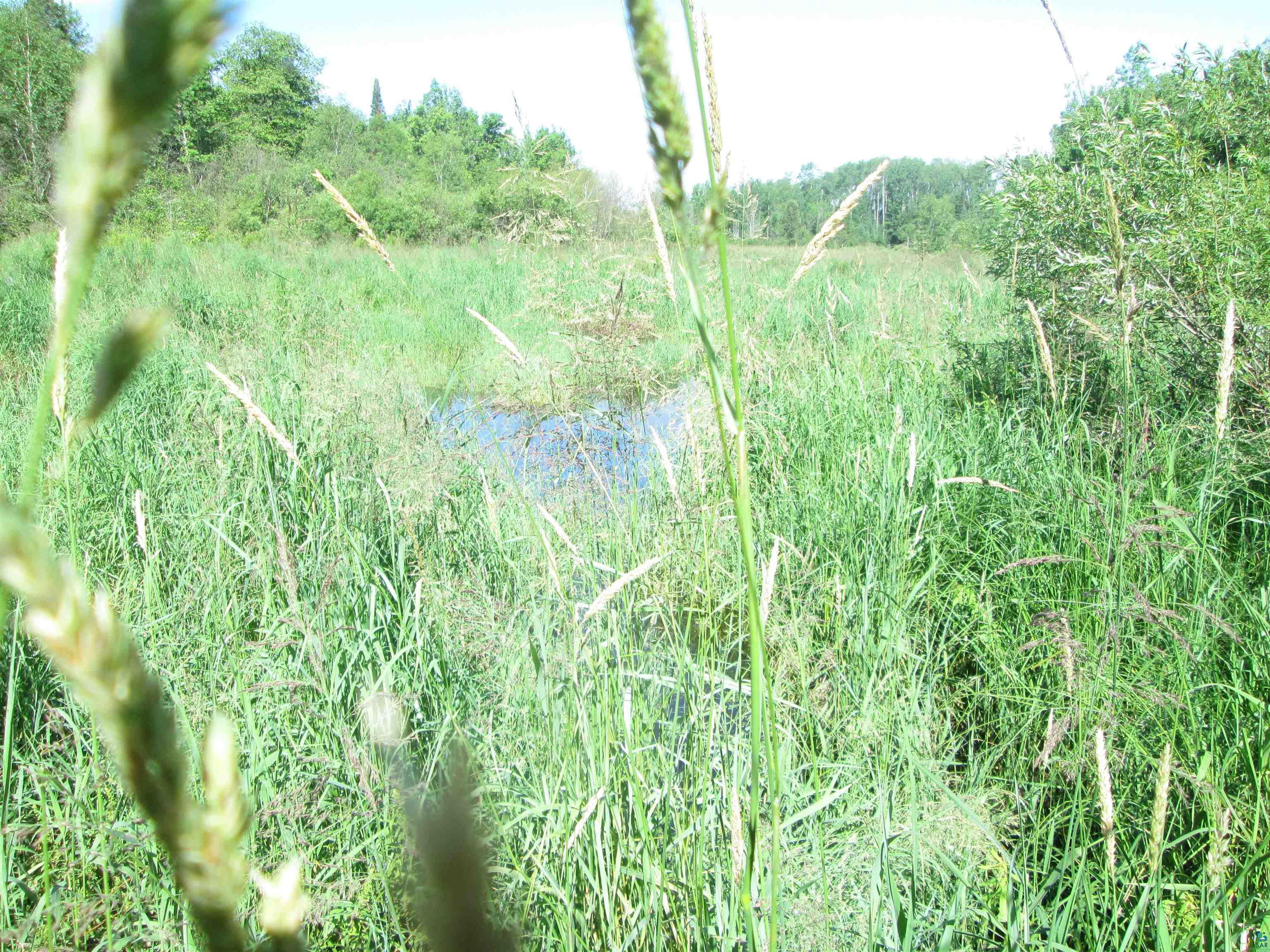6810 Northeast Rd Wright MN 55798 - Little Tamarack 6126624 image17