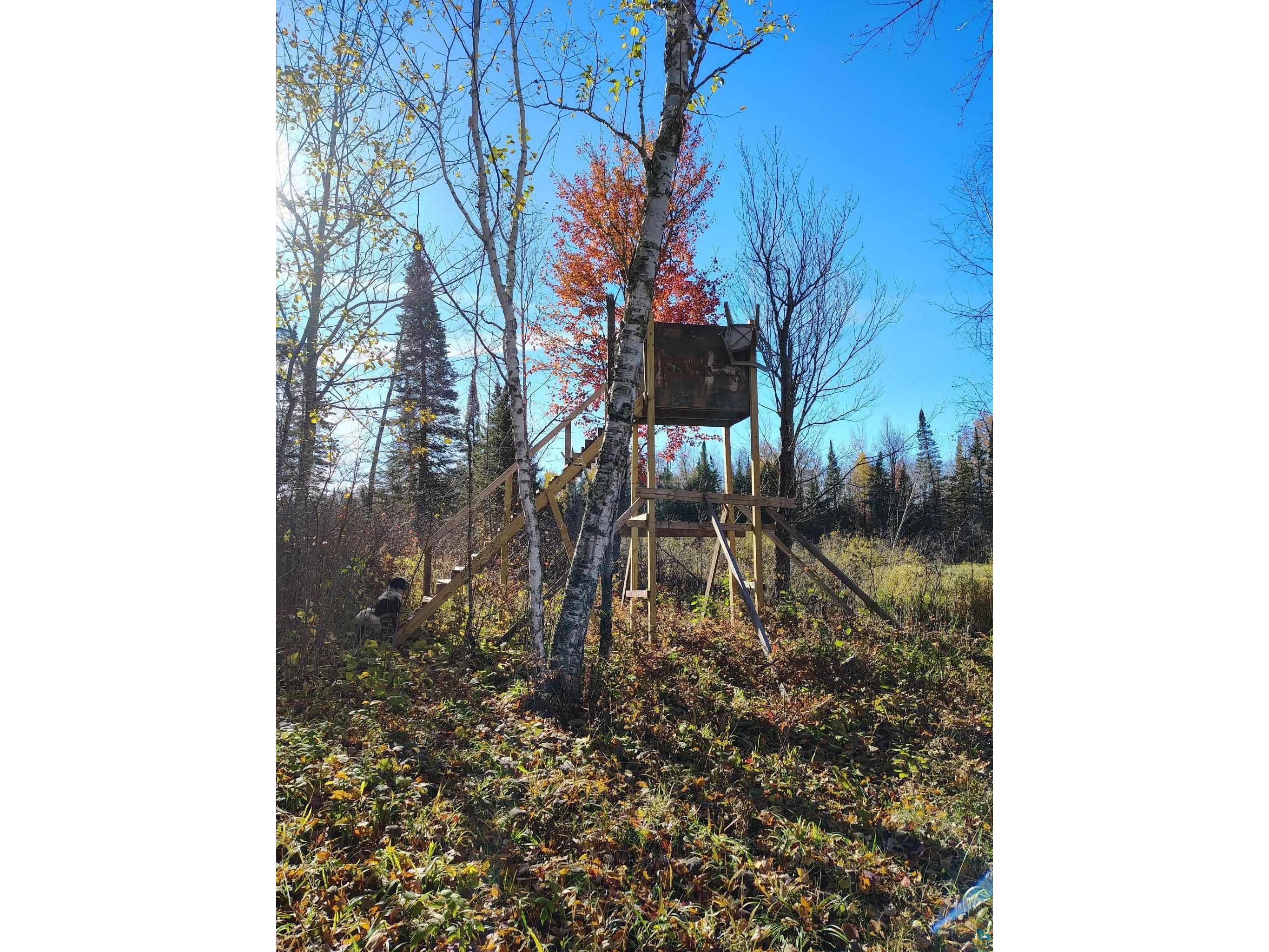 6810 Northeast Rd Wright MN 55798 - Little Tamarack 6126624 image22