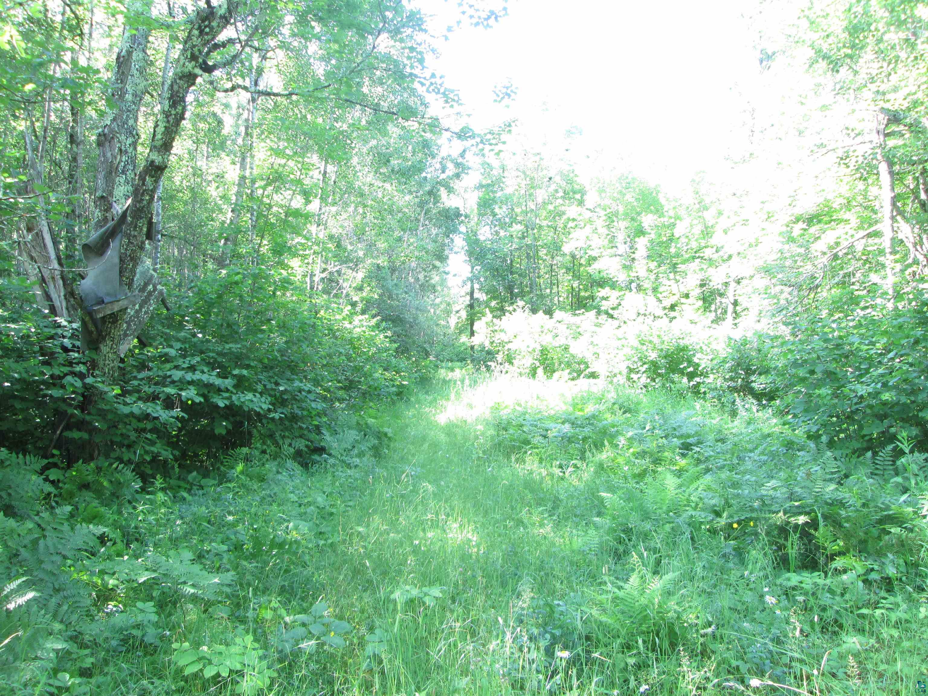 6810 Northeast Rd Wright MN 55798 - Little Tamarack 6126624 image6