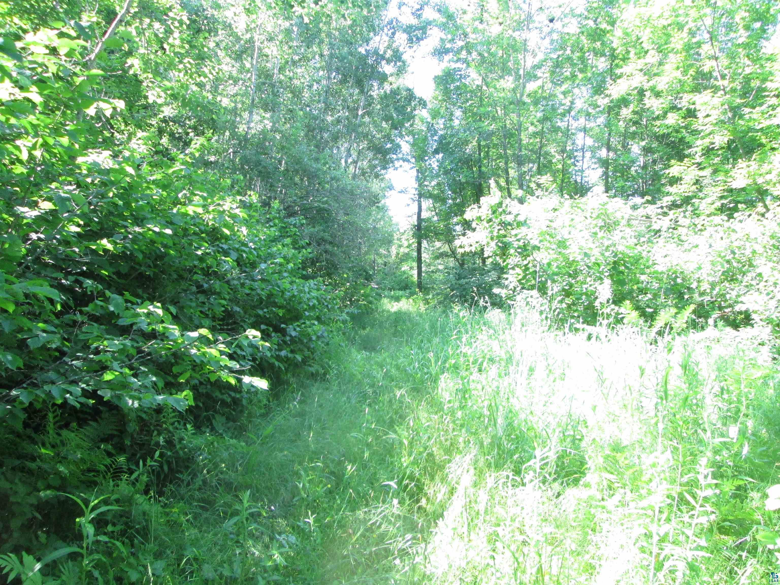 6810 Northeast Rd Wright MN 55798 - Little Tamarack 6126624 image7
