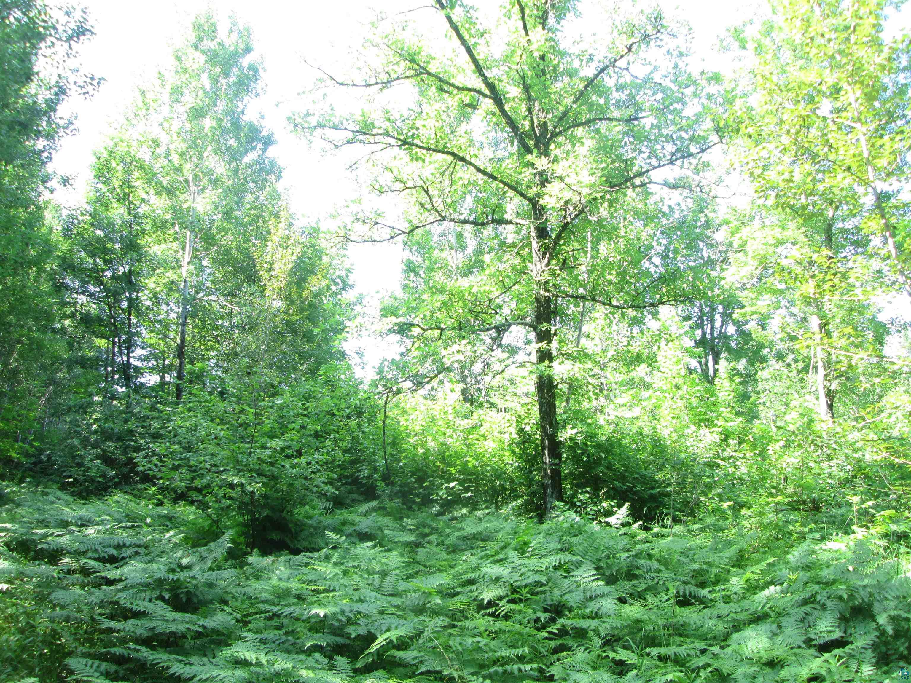 6810 Northeast Rd Wright MN 55798 - Little Tamarack 6126624 image9