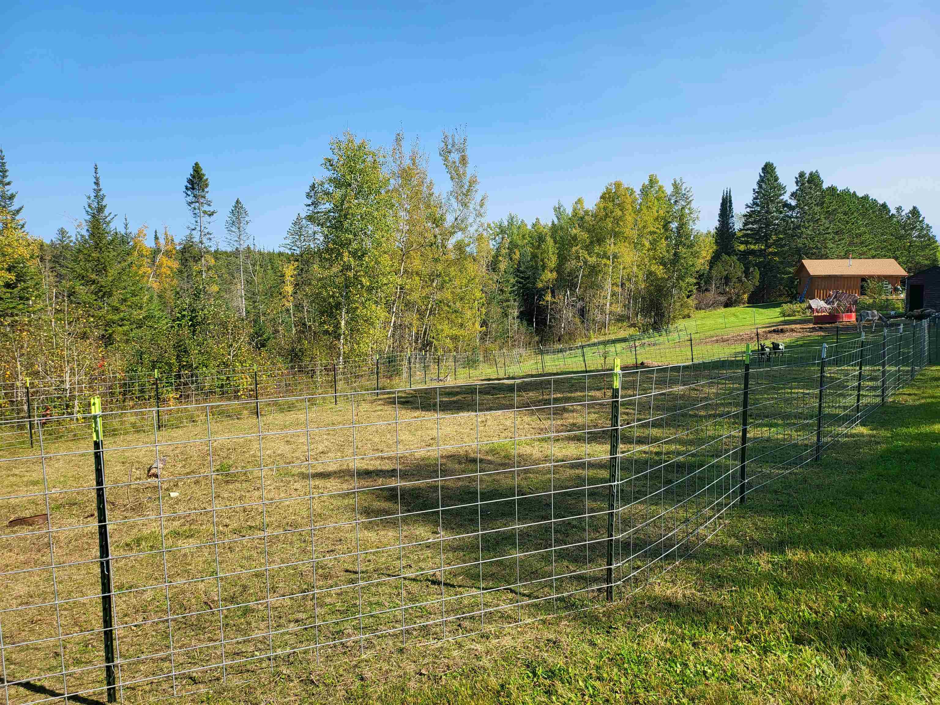 6821 Barrett Rd Chisholm MN 55719 6122734 image21