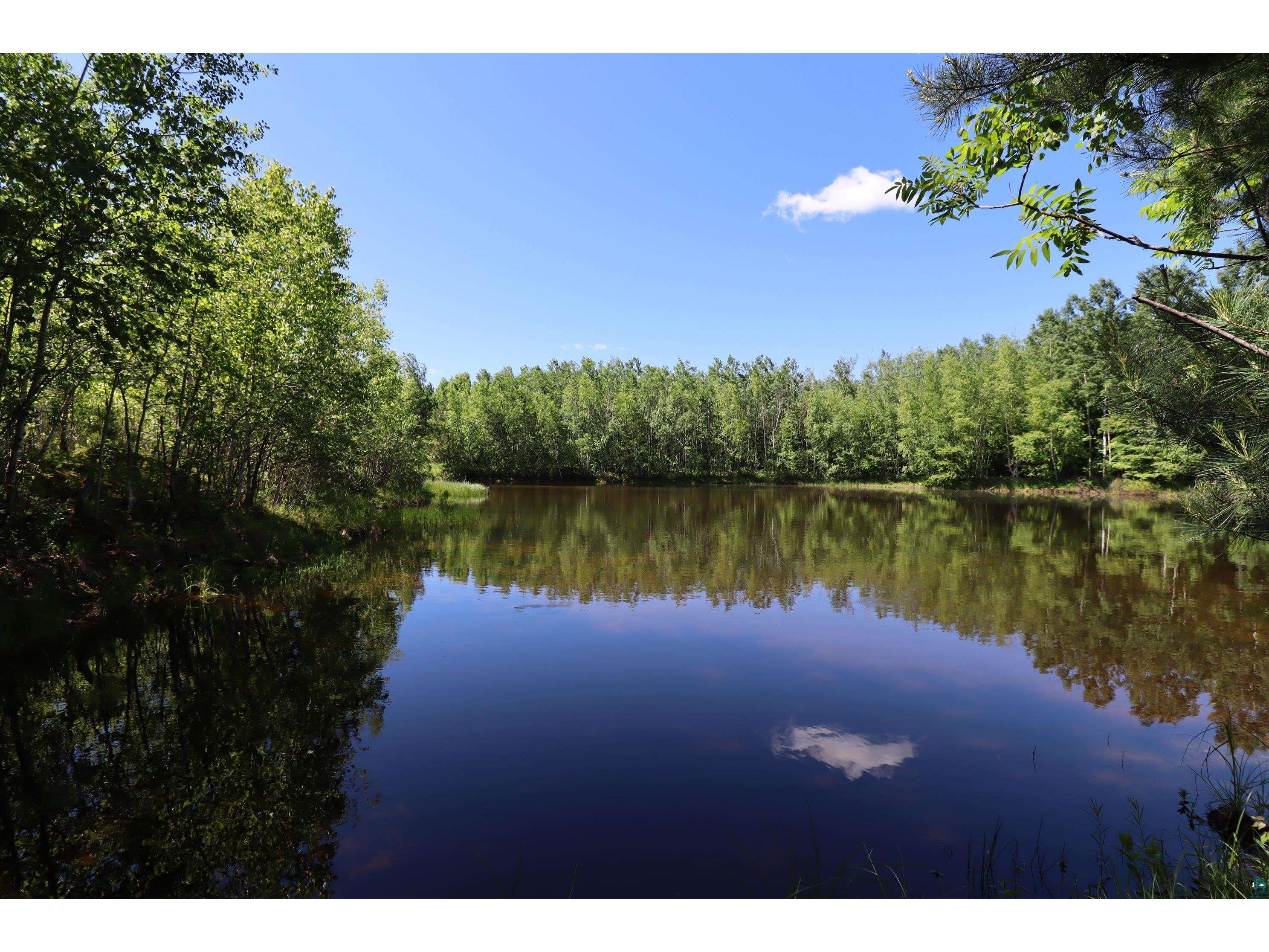 68771 Surfass Rd, Highbridge, WI, 54846 MLS 6112560 Edina Realty