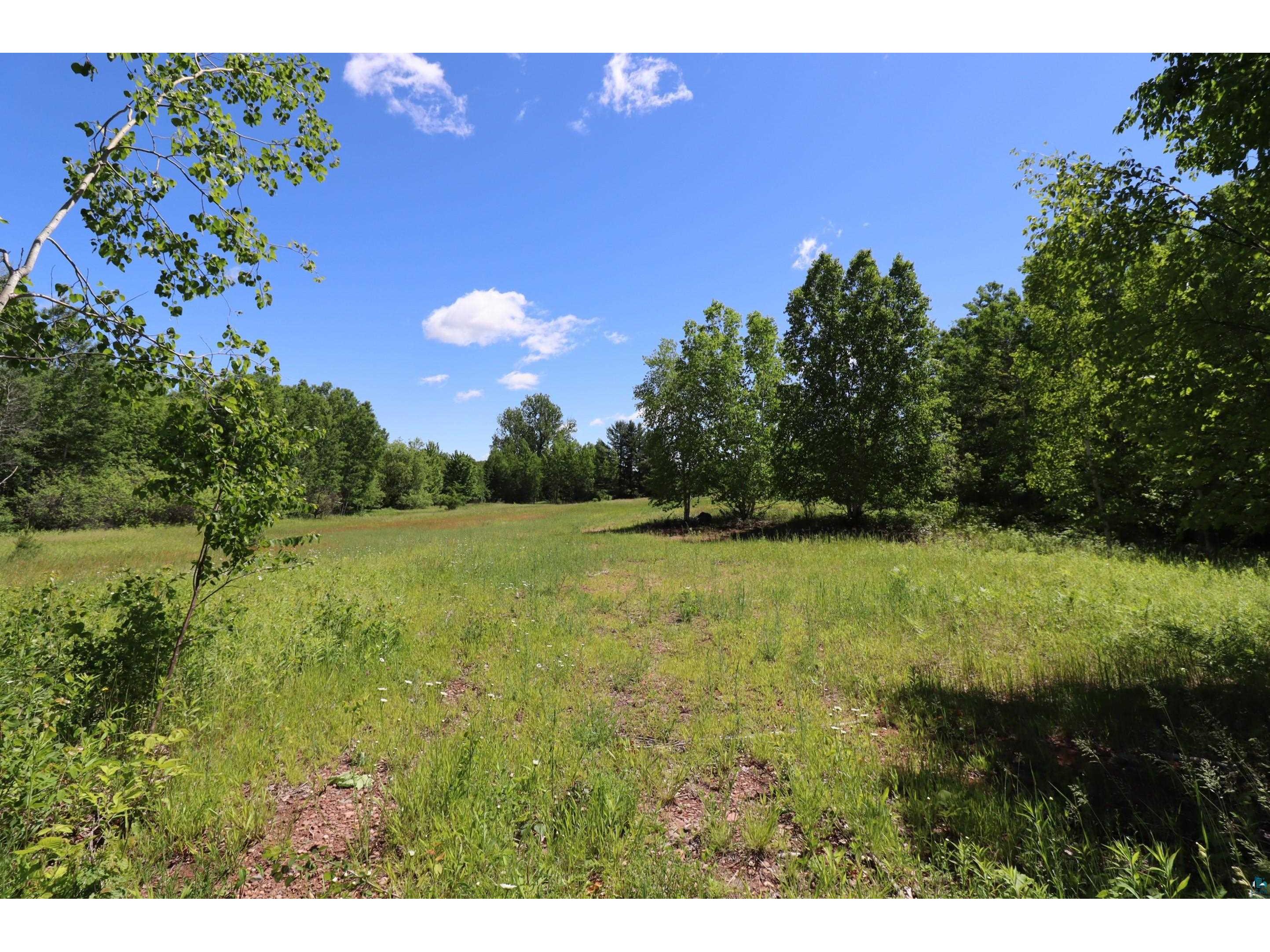 68771 Surfass Rd, Highbridge, WI, 54846 MLS 6112560 Edina Realty