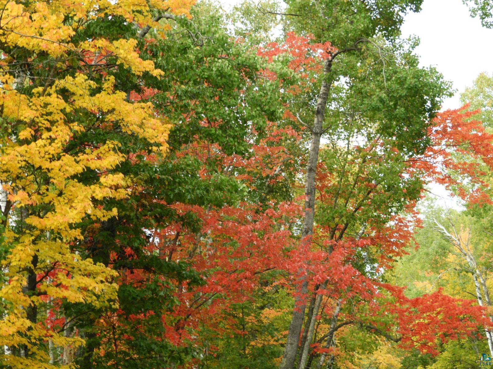 68XX Iron Lake Rd Iron River WI 54847 - Iron River 6105761 image1