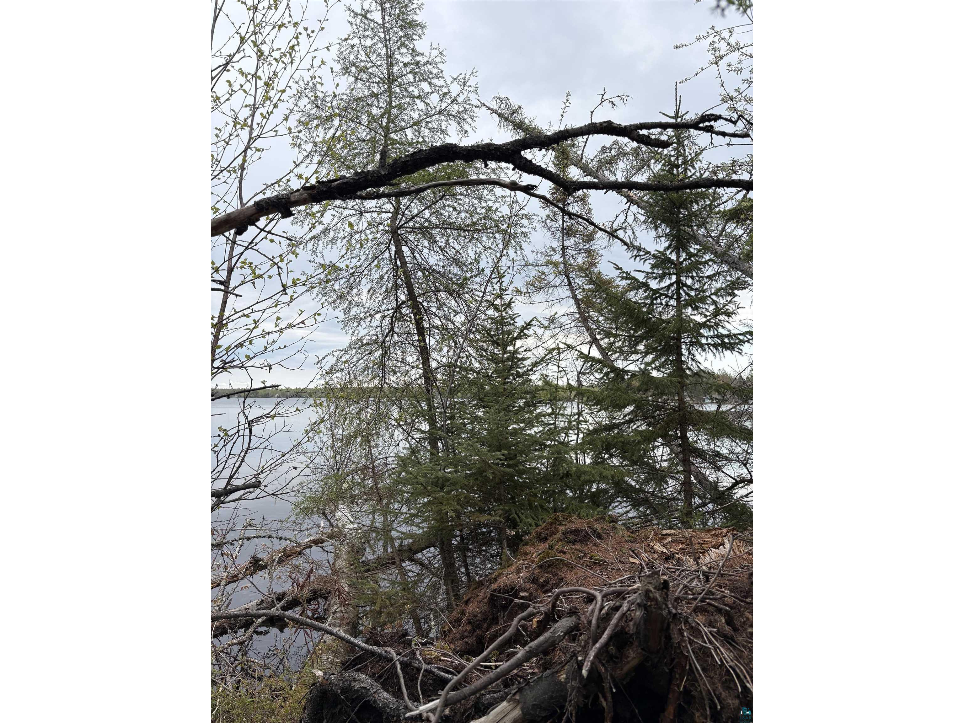 6919 Triple Lakes Rd Saginaw MN 55779 - Grand 6125928 image6