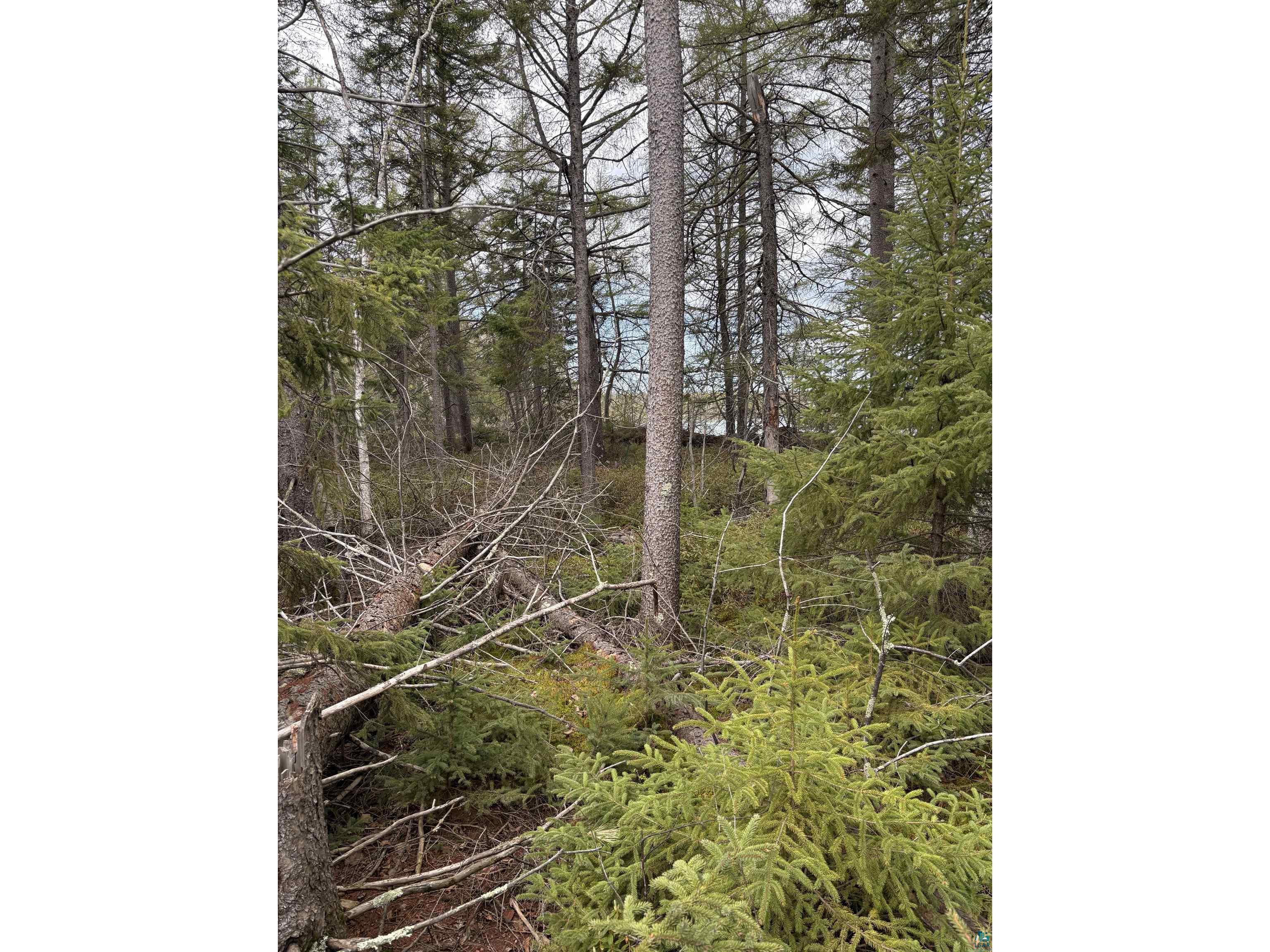 6919 Triple Lakes Rd Saginaw MN 55779 - Grand 6125928 image7
