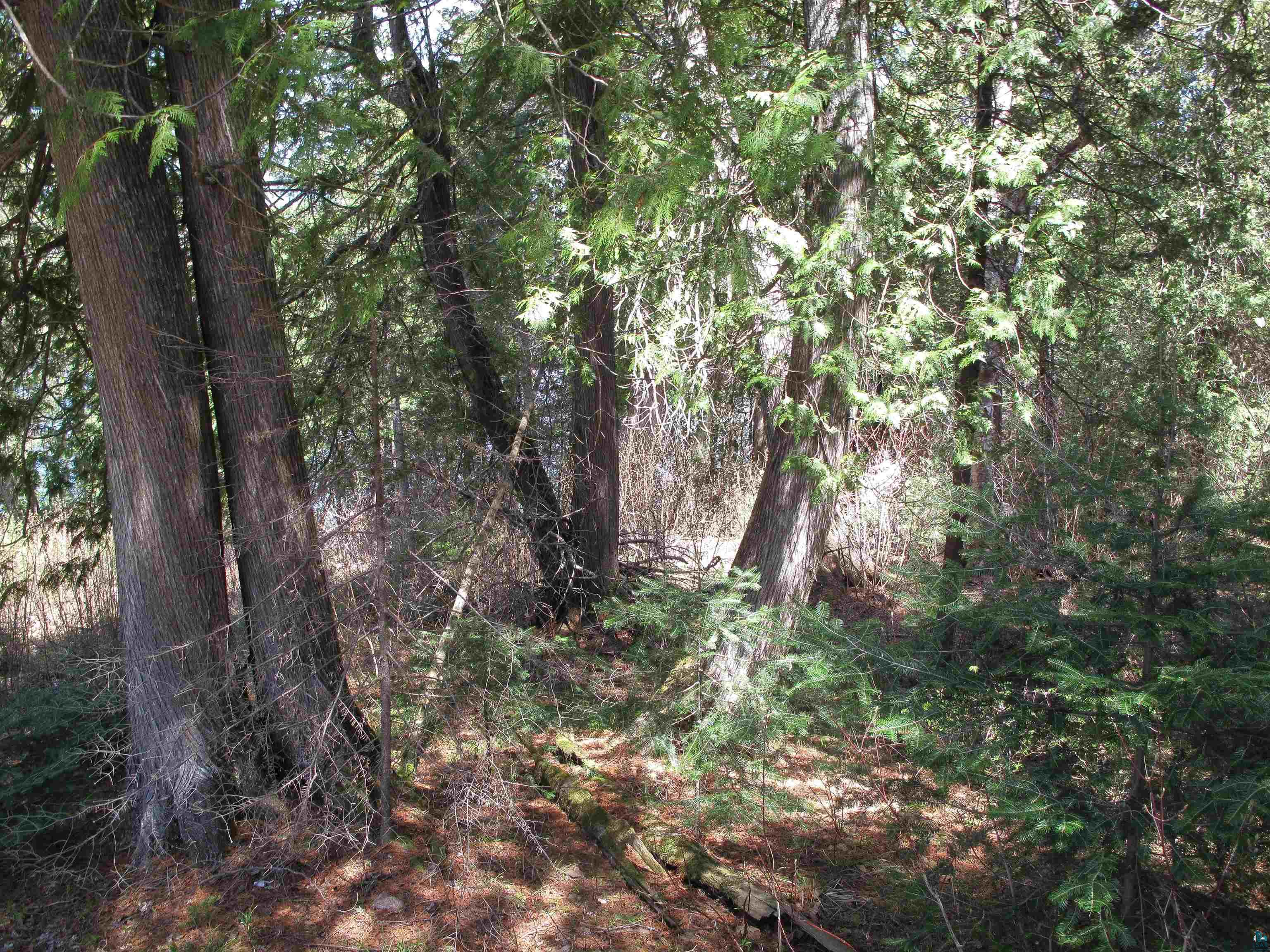 695 Loon Echo Ln Grand Marais MN 55604 - Pike 6125611 image42