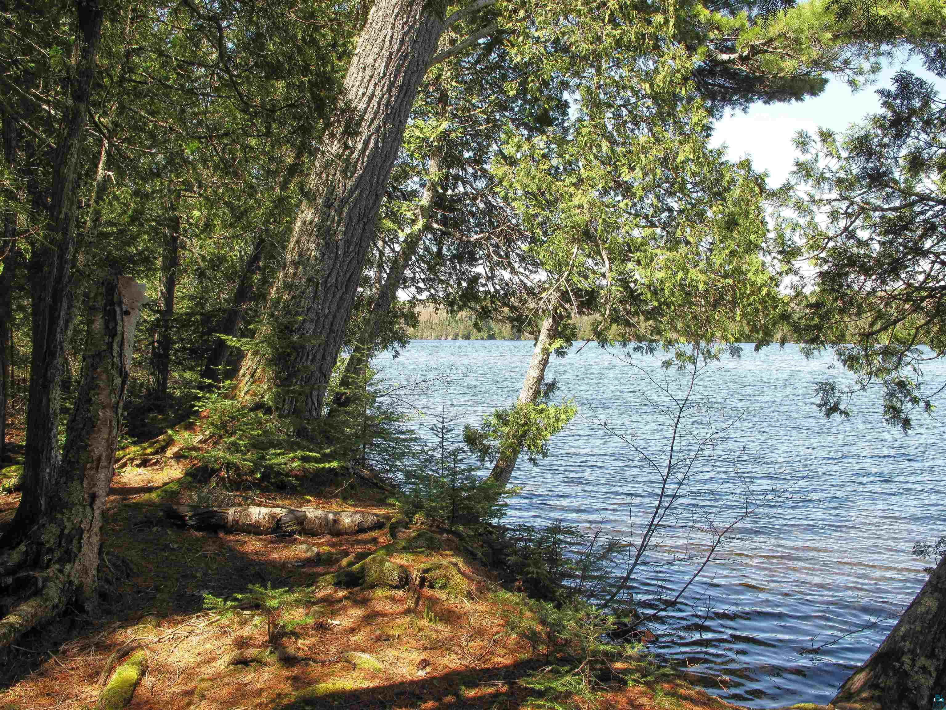 695 Loon Echo Ln Grand Marais MN 55604 - Pike 6125611 image9
