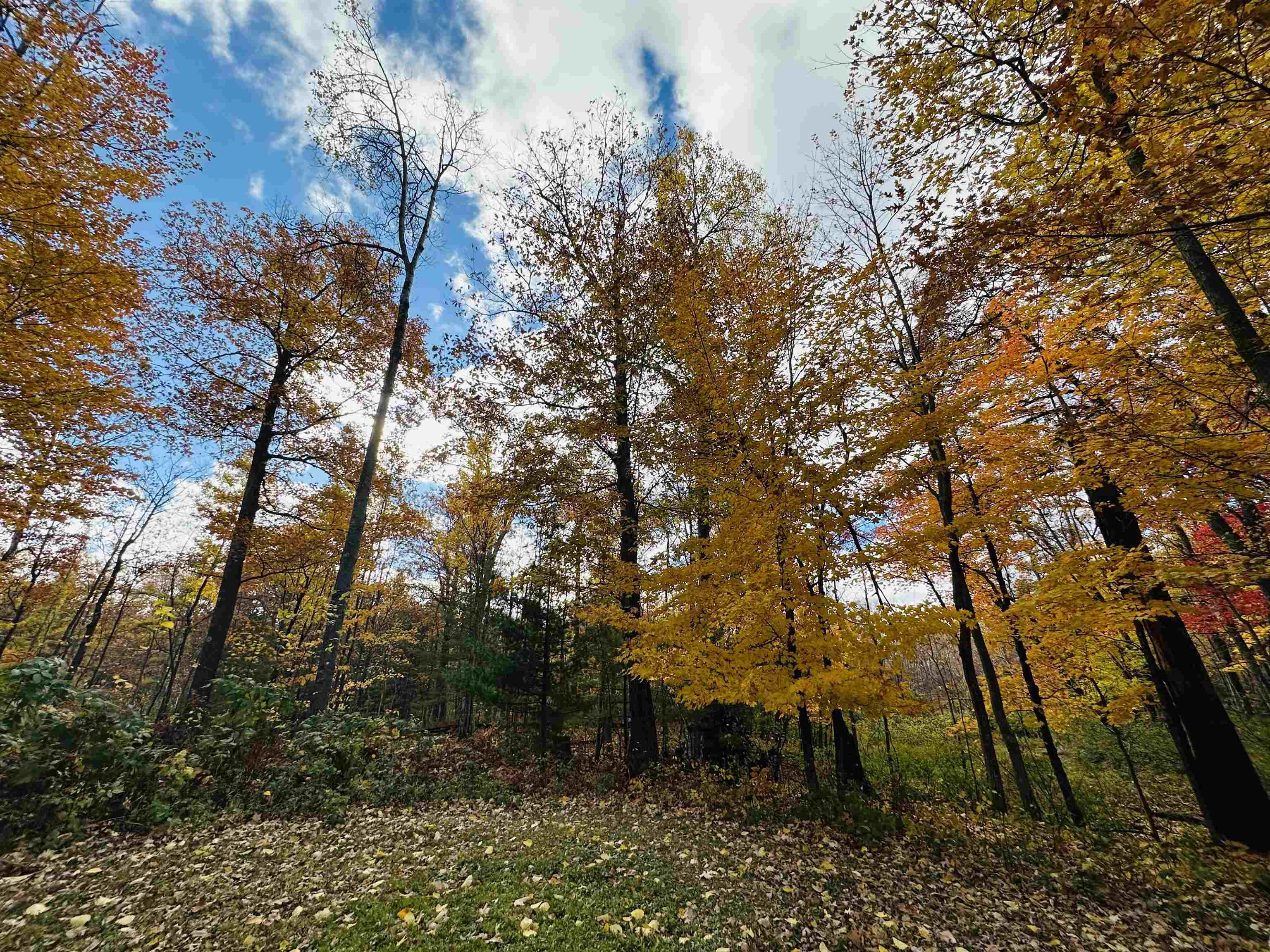 6955 Kolling Rd Iron River WI 54847 6122577 image17