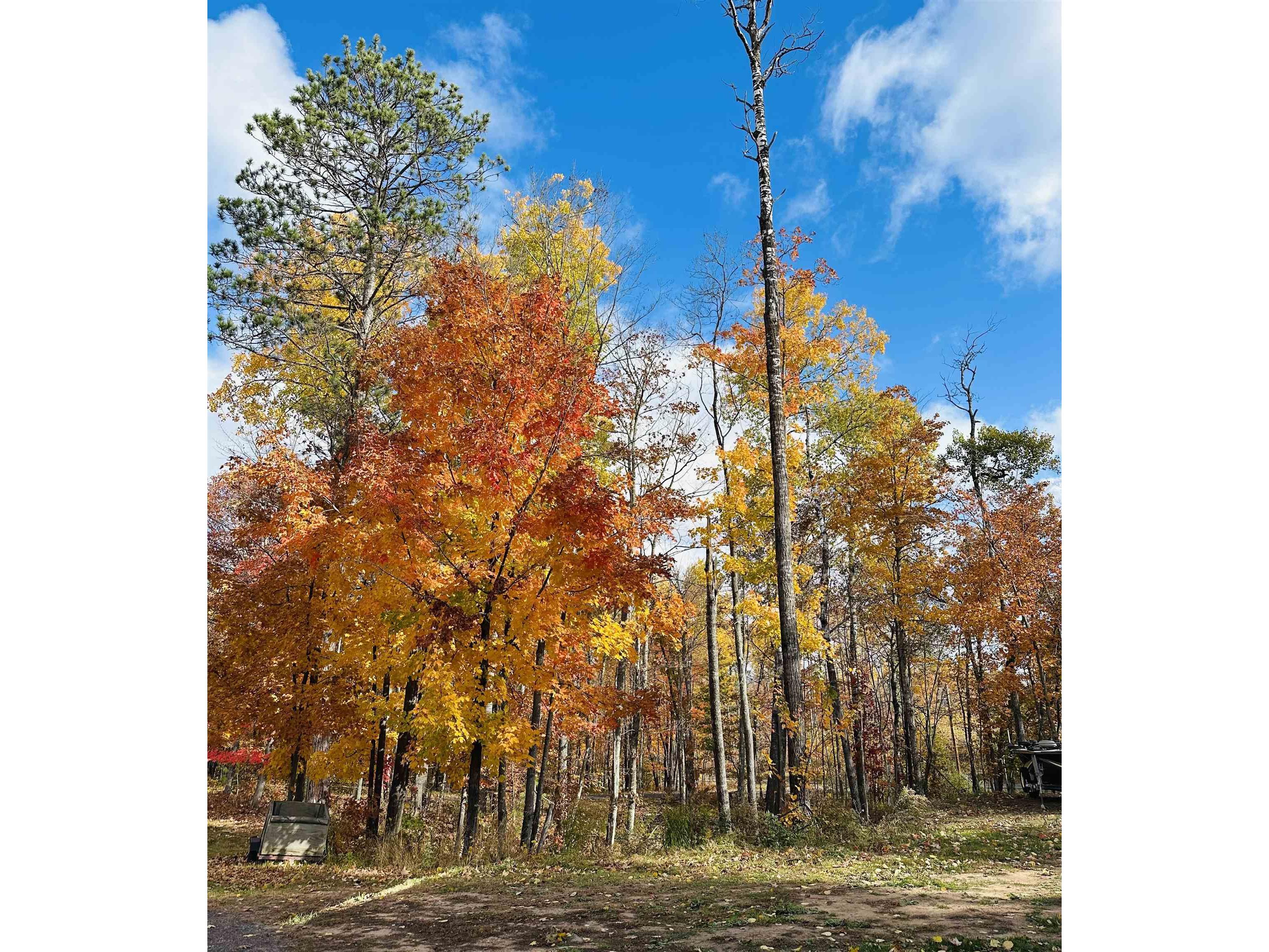 6955 Kolling Rd Iron River WI 54847 6122577 image18