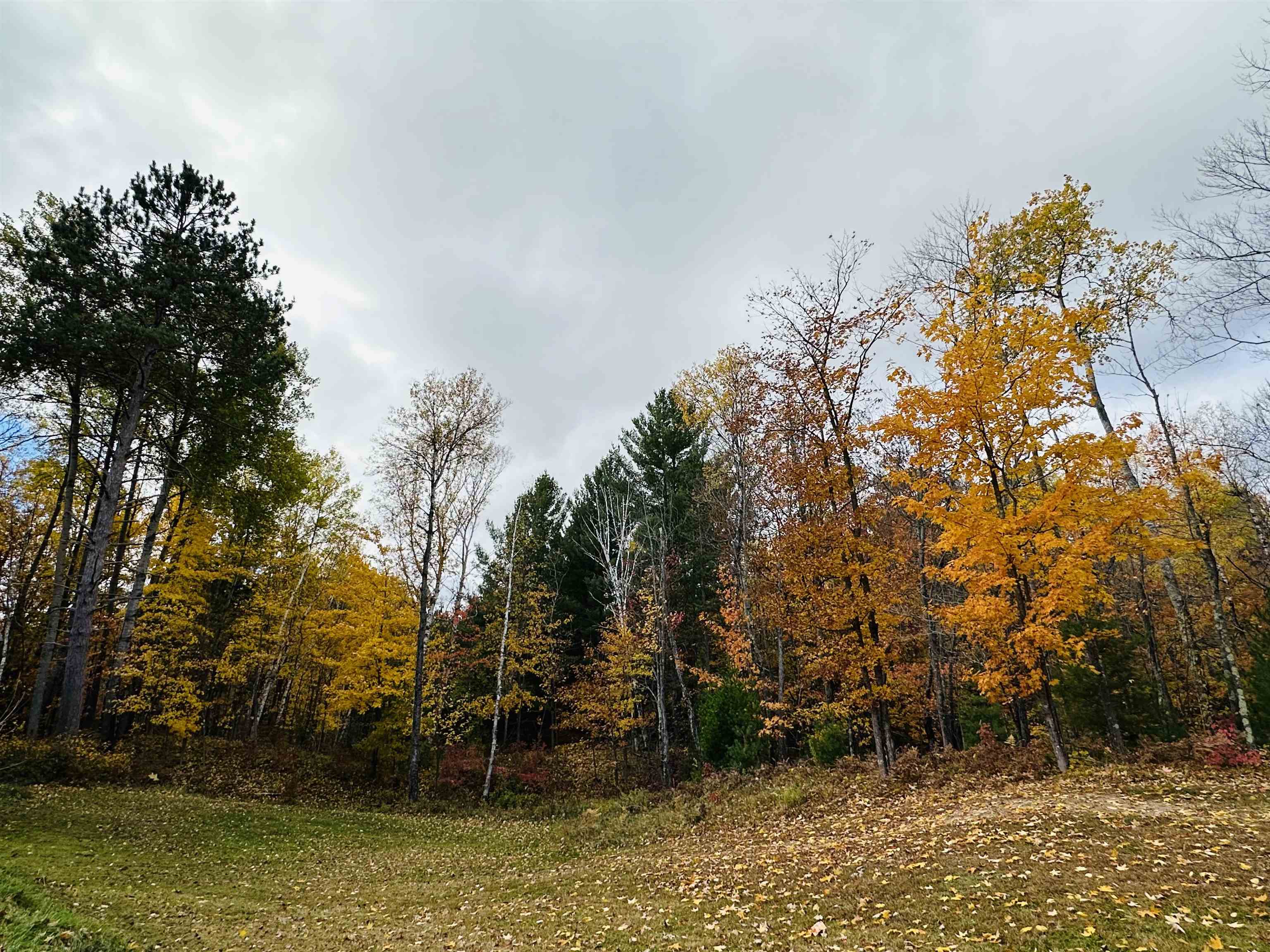 6955 Kolling Rd Iron River WI 54847 6122577 image19