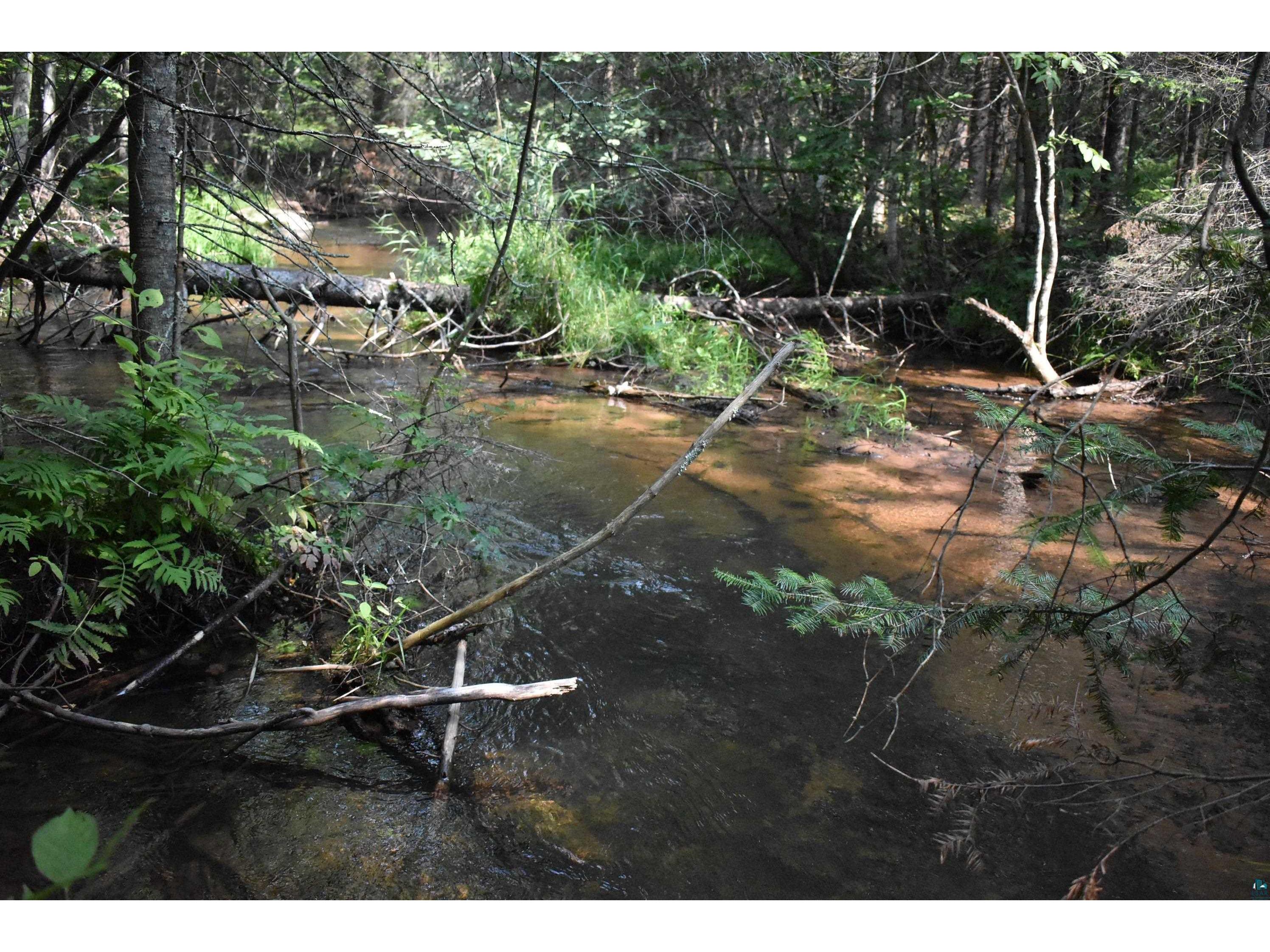 695XX Range Line Rd Iron River WI 54847 - Iron River 6110236 image1