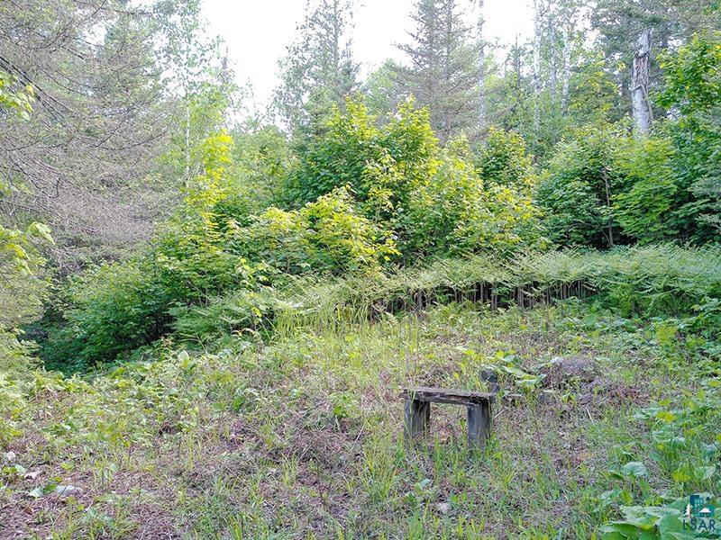 6975 Cramer Rd Finland MN 55603 - Baptism River 6126297 image50