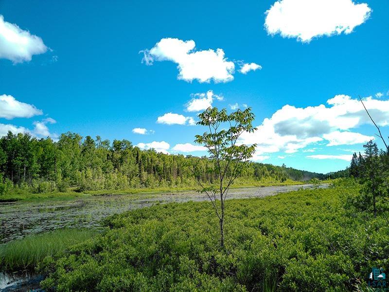 6975 Cramer Rd Finland MN 55603 - Baptism River 6126297 image51