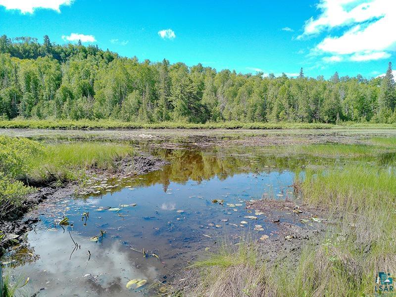6975 Cramer Rd Finland MN 55603 - Baptism River 6126297 image52