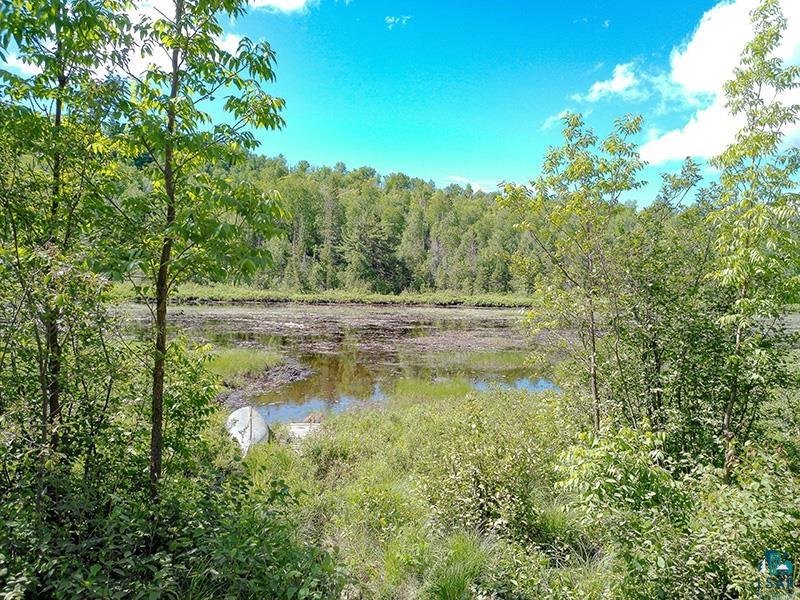 6975 Cramer Rd Finland MN 55603 - Baptism River 6126297 image54
