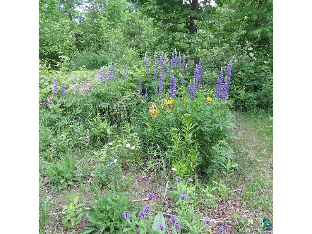 6975 Cramer Rd Finland MN 55603 - Baptism River 6126297 image61