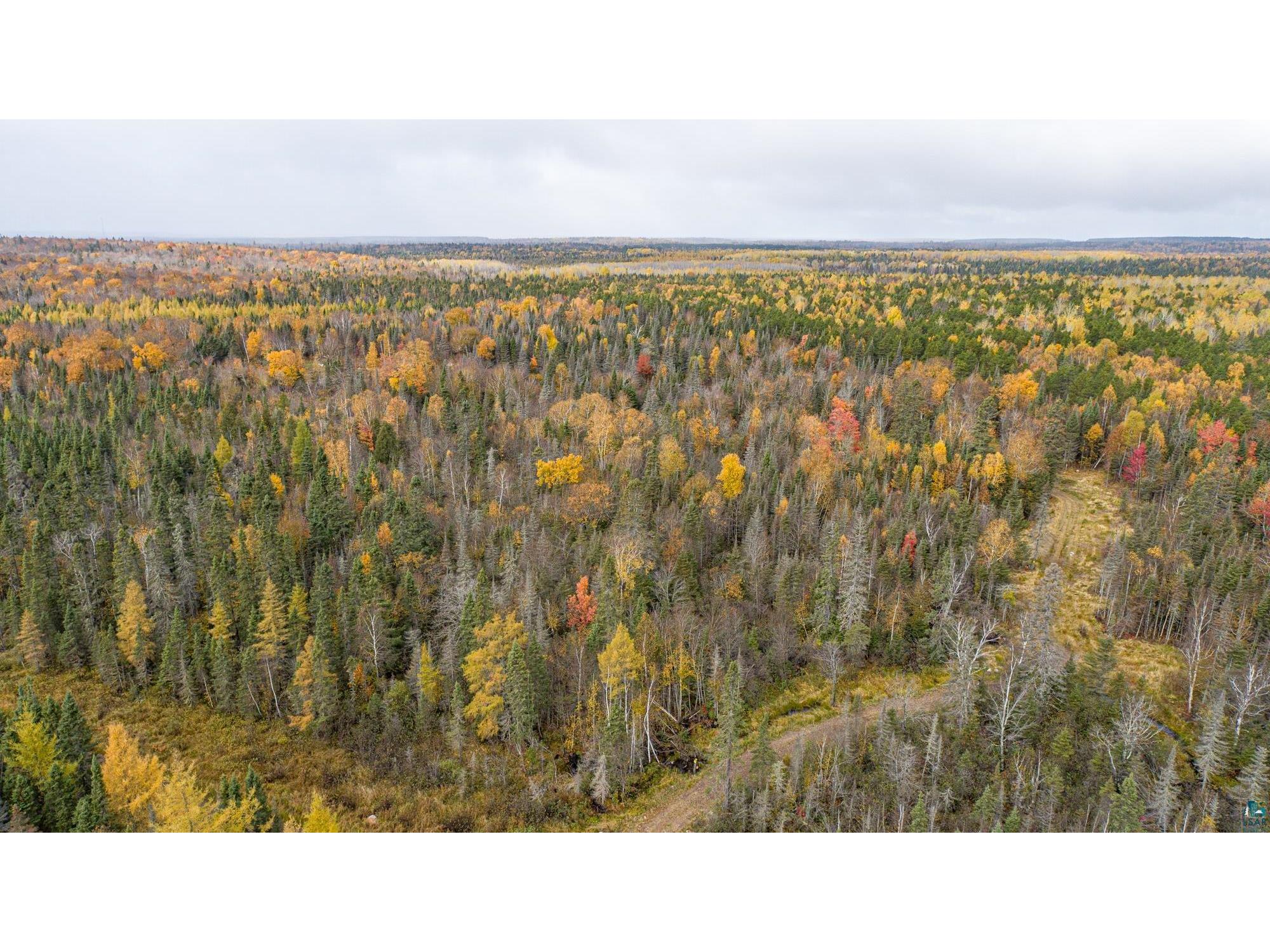 7017 Stony River Forest Rd Isabella MN 55607 6116579 image1