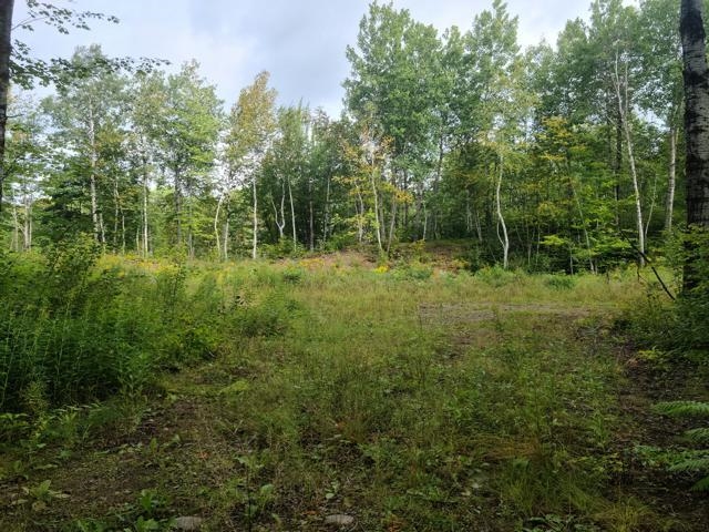 7045 Highway 2 Saginaw MN 55779 6121783 image10