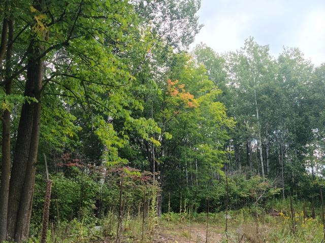 7045 Highway 2 Saginaw MN 55779 6121783 image11