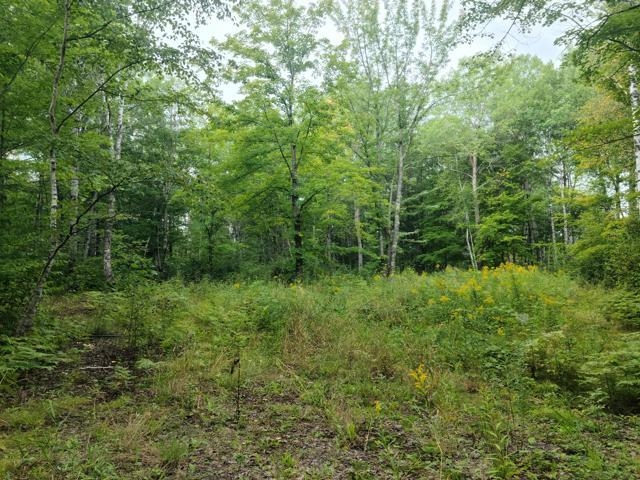 7045 Highway 2 Saginaw MN 55779 6121783 image5