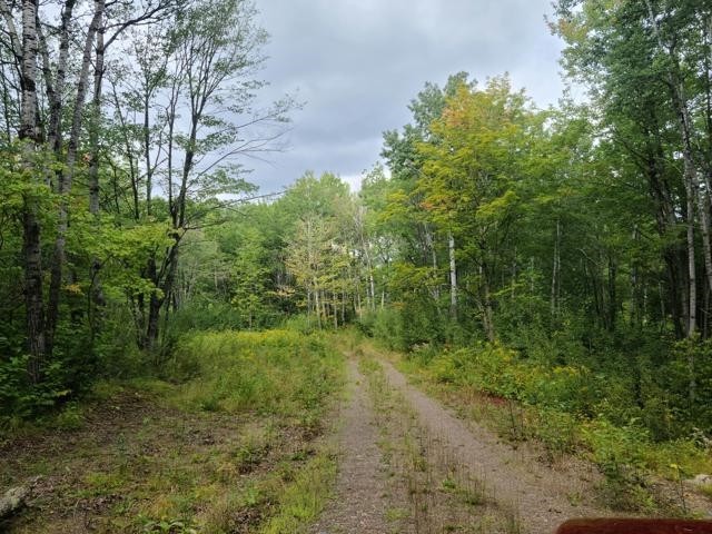 7045 Highway 2 Saginaw MN 55779 6121783 image6