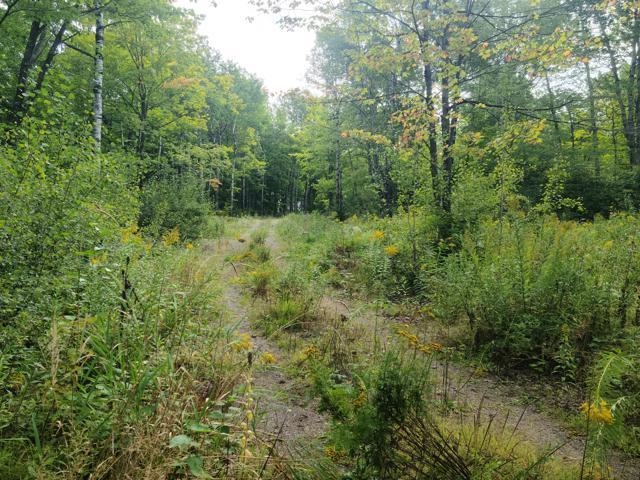 7045 Highway 2 Saginaw MN 55779 6121783 image7