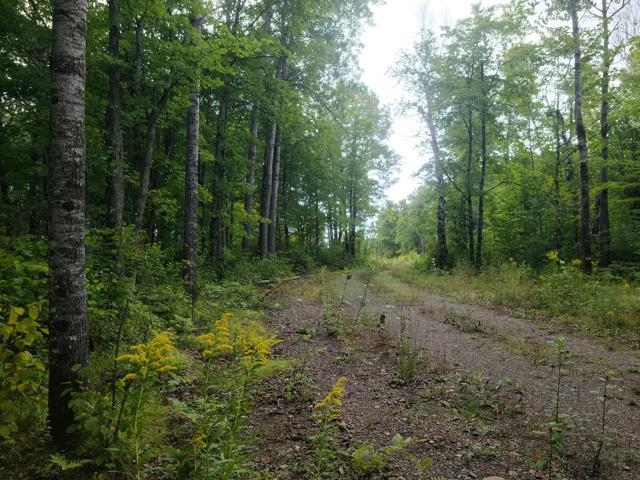 7045 Highway 2 Saginaw MN 55779 6121783 image8