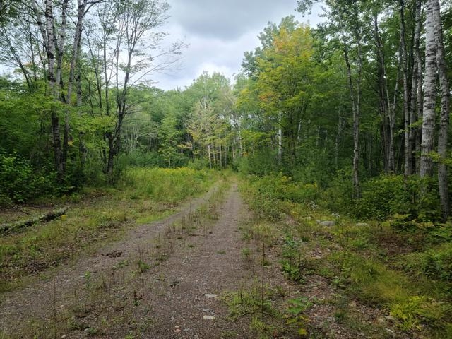 7045 Highway 2 Saginaw MN 55779 6121783 image9