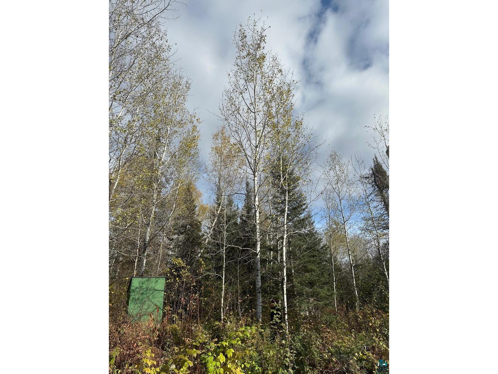7064 Cramer Rd Finland MN 55603 - Baptism River 6124990 image10