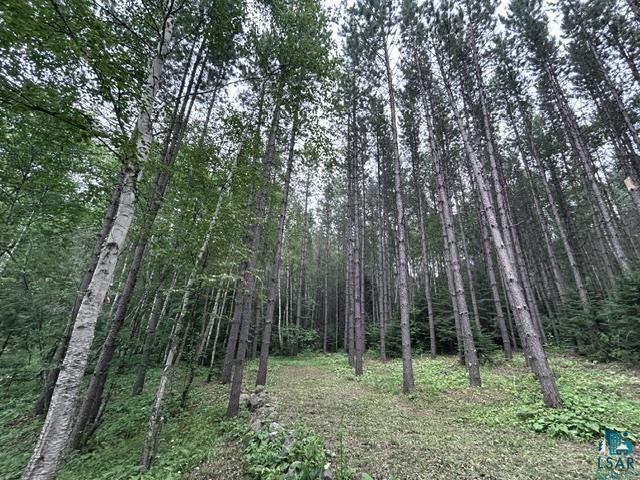 71 Benedict Ln Lutsen MN 55612 - Pike 6126693 image39