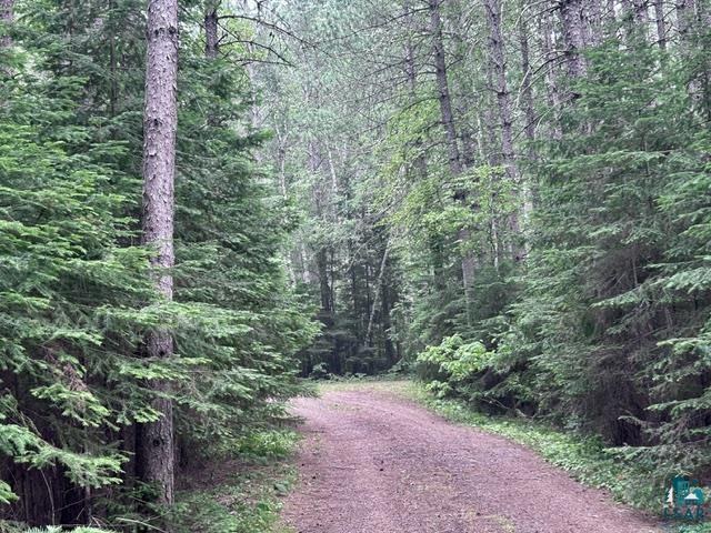 71 Benedict Ln Lutsen MN 55612 - Pike 6126693 image46