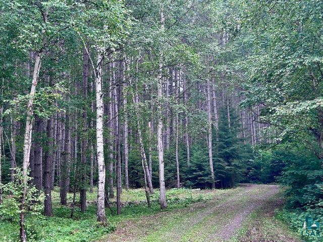 71 Benedict Ln Lutsen MN 55612 - Pike 6126693 image47