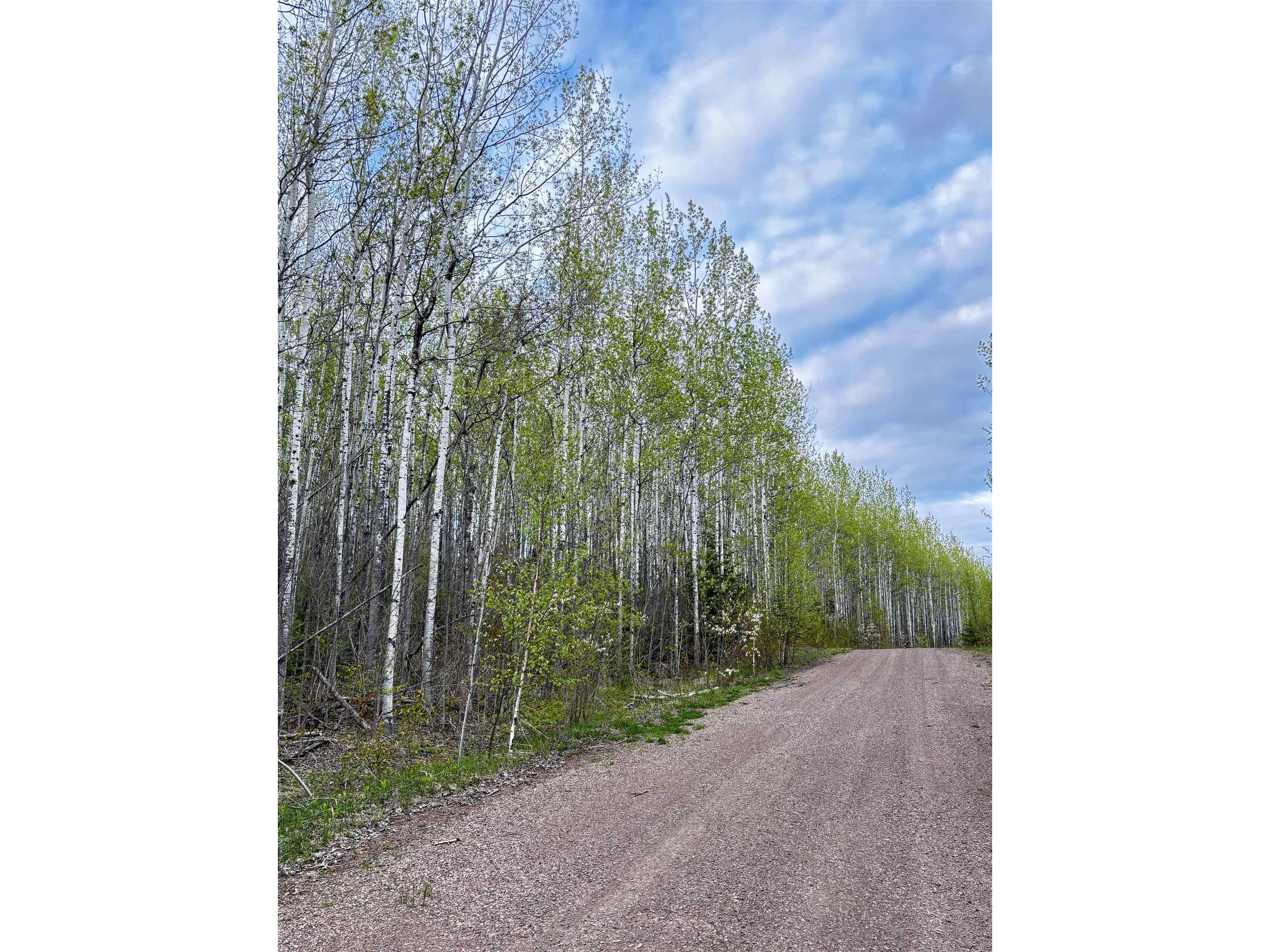 71 Murphy Dr Grand Marais MN 55604 6123088 image25