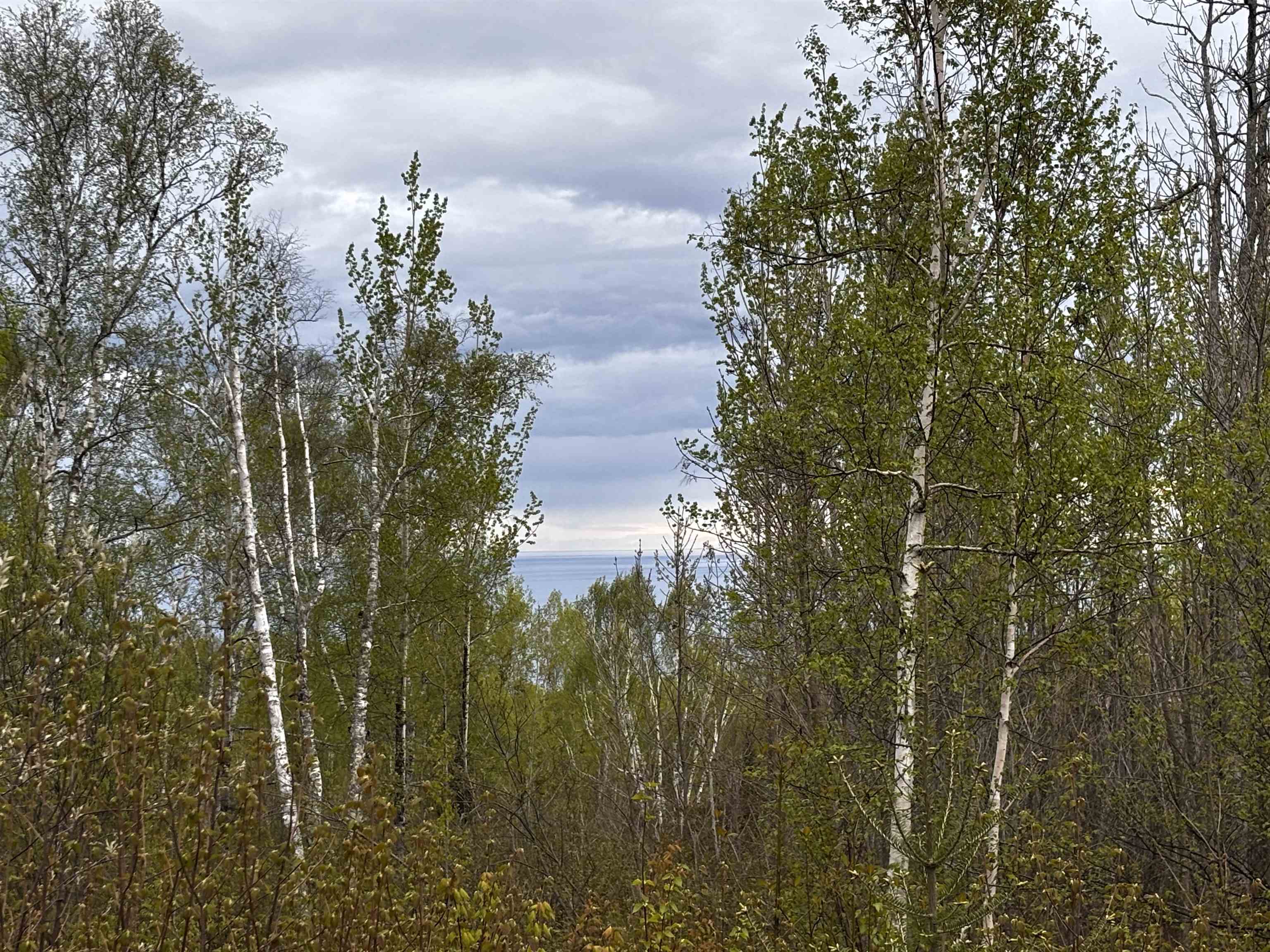 71 Murphy Dr Grand Marais MN 55604 6123223 image1