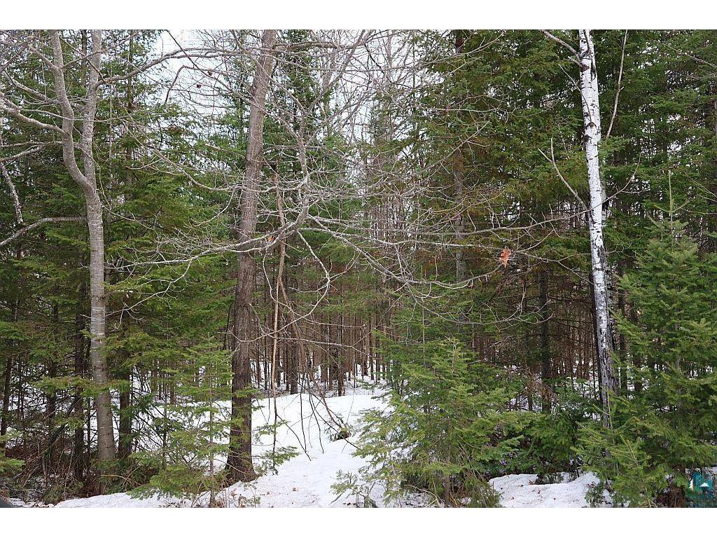 713XX Oulu Rock Rd Brule WI 54820 6124246 image13