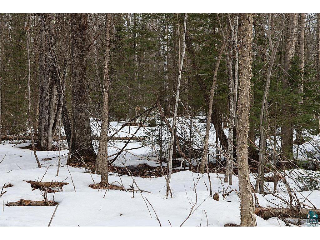 713XX Oulu Rock Rd Brule WI 54820 6124246 image17