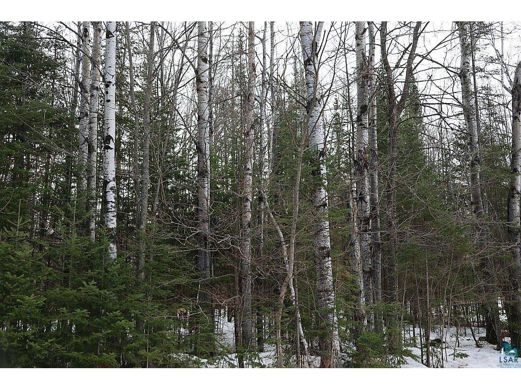 713XX Oulu Rock Rd Brule WI 54820 6124246 image21
