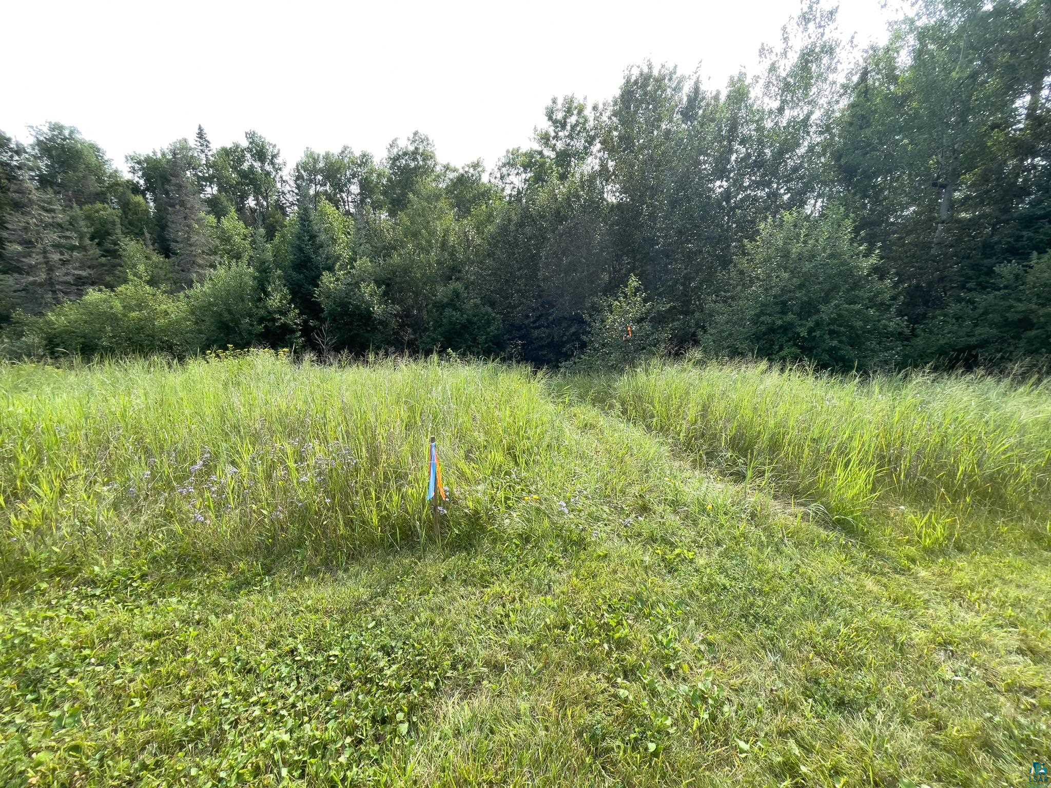 7143 HWY 1 Finland MN 55603 - Baptism River 6124941 image45