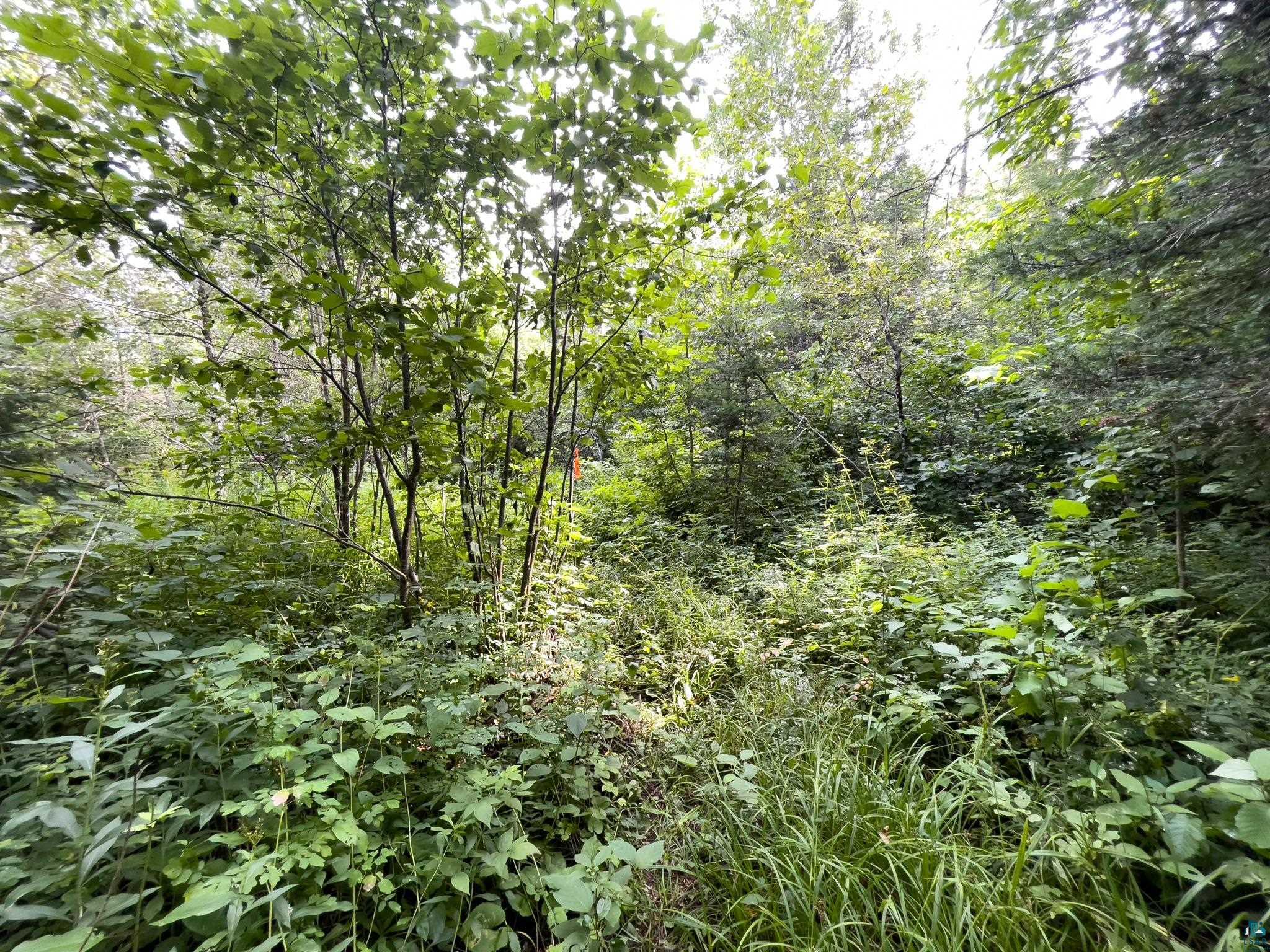 7143 HWY 1 Finland MN 55603 - Baptism River 6124941 image46