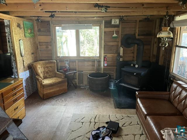 7168 Gold Mine Rd Orr MN 55771 - Vermillion River 6126359 image19