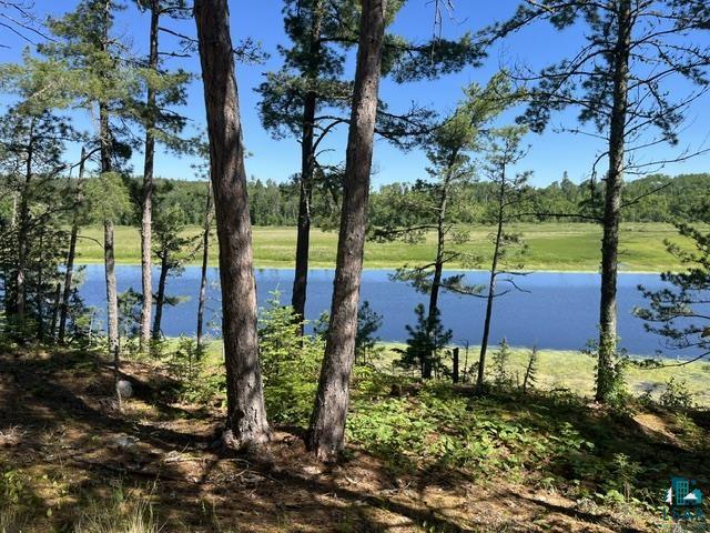 7168 Gold Mine Rd Orr MN 55771 - Vermillion River 6126359 image5