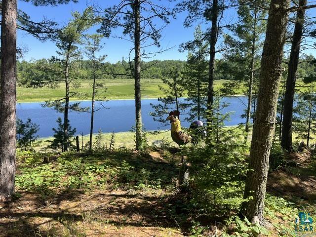 7168 Gold Mine Rd Orr MN 55771 - Vermillion River 6126359 image6