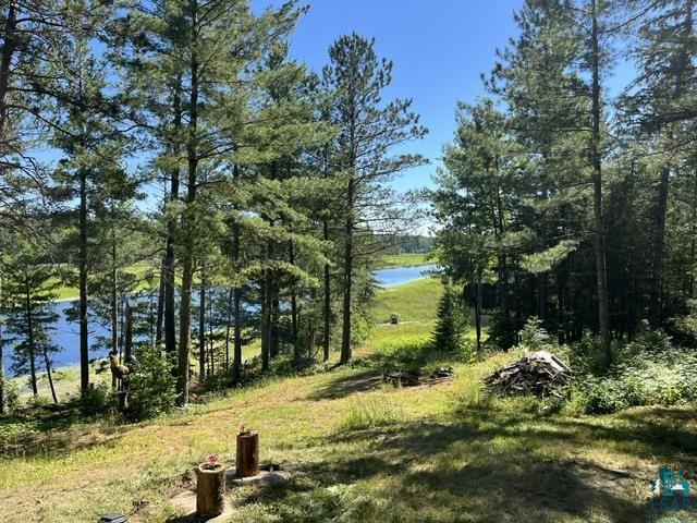 7168 Gold Mine Rd Orr MN 55771 - Vermillion River 6126359 image7