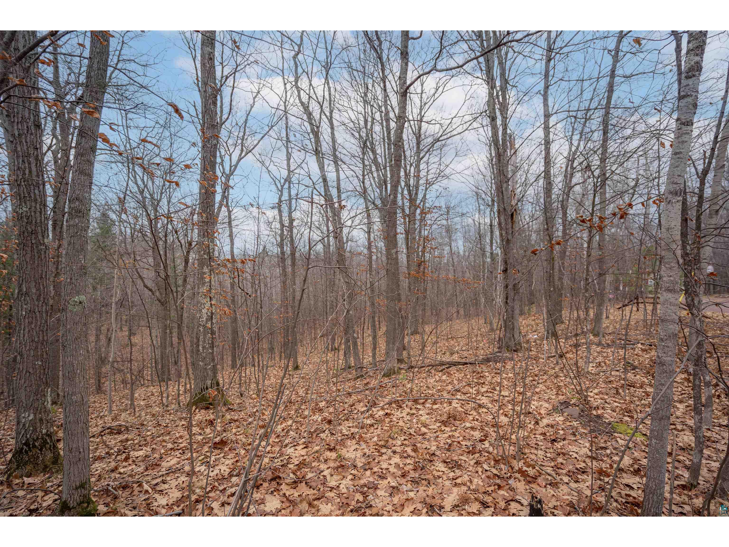 7173 S Dougs Cr Lake Nebagamon WI 54849 6124838 image6