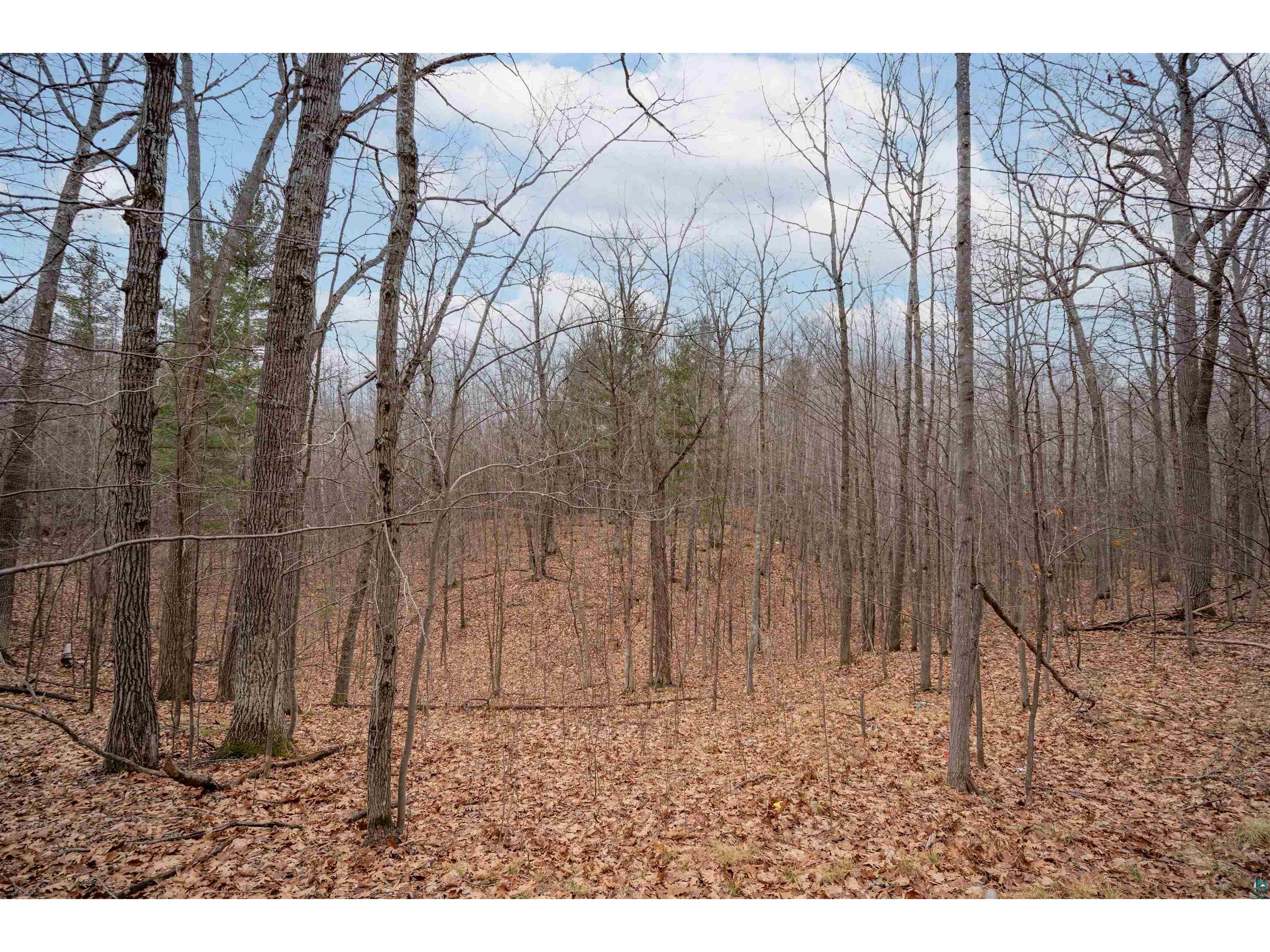 7173 S Dougs Cr Lake Nebagamon WI 54849 6124838 image7