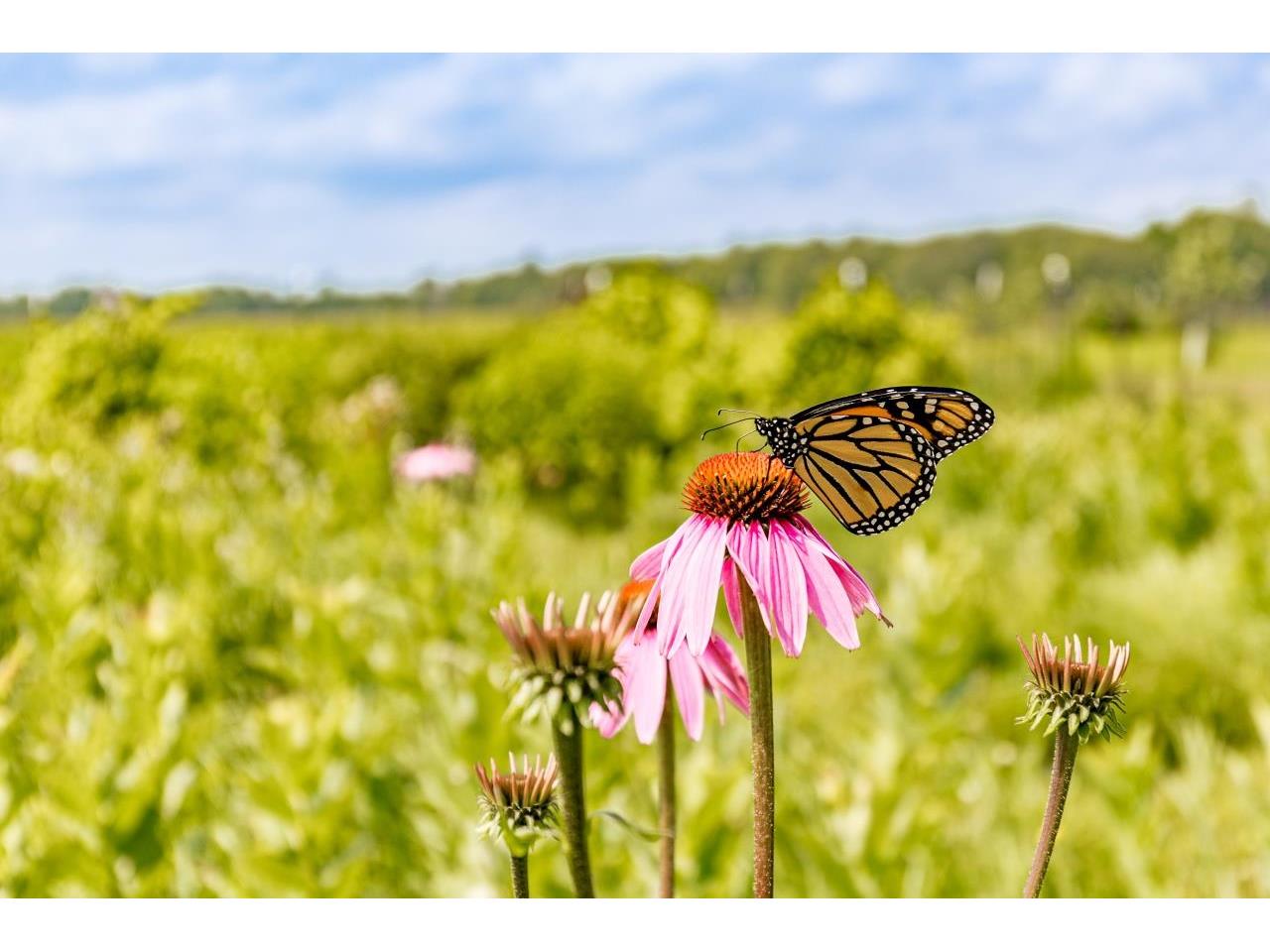 7177 Hwy 210 Tamarack MN 55787 6121211 image40