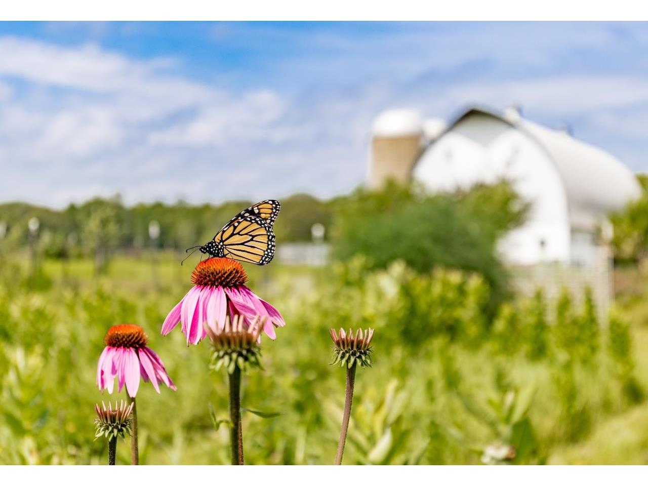 7177 Hwy 210 Tamarack MN 55787 6121211 image41