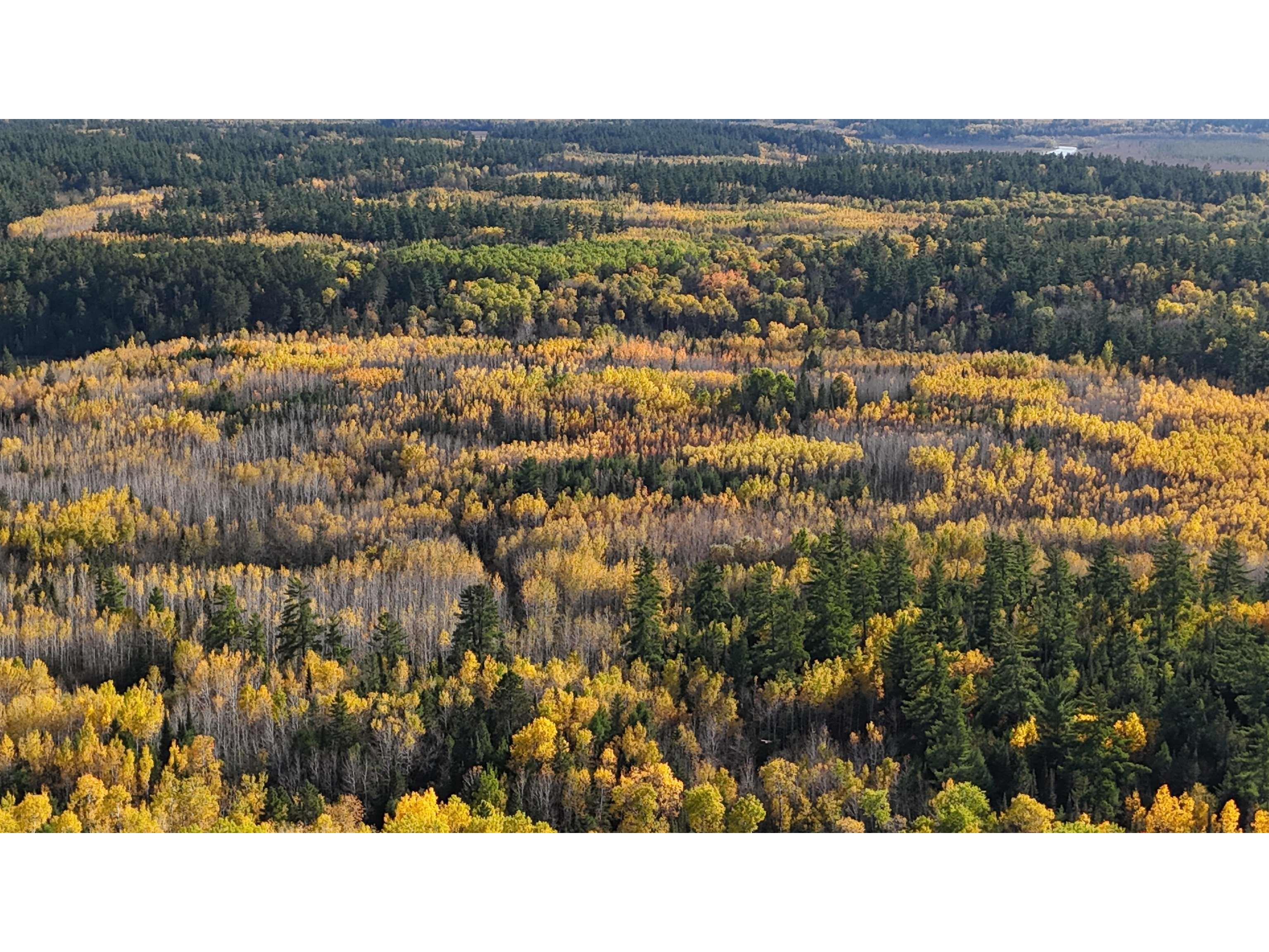 7178 Gold Mine Rd Orr MN 55771 - Vermillion River 6122304 image33